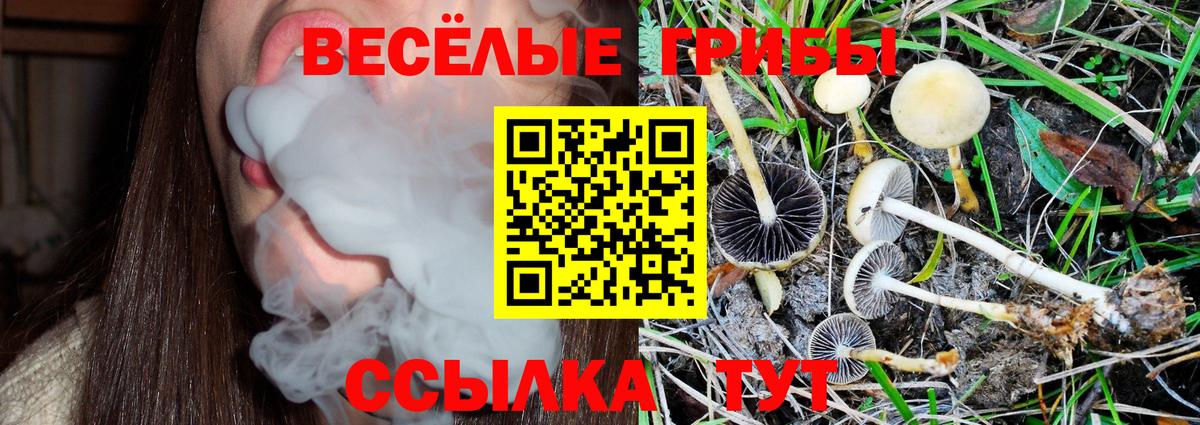 Галлюциногенные грибы мицелий Набережные Челны