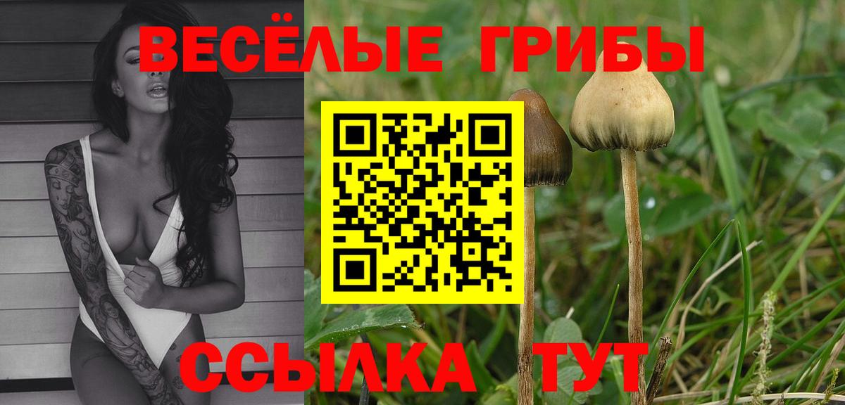 Псилоцибиновые грибы прущие грибы  Псилоцибиновые грибы мицелий  Вход с VPN  Набережные Челны 